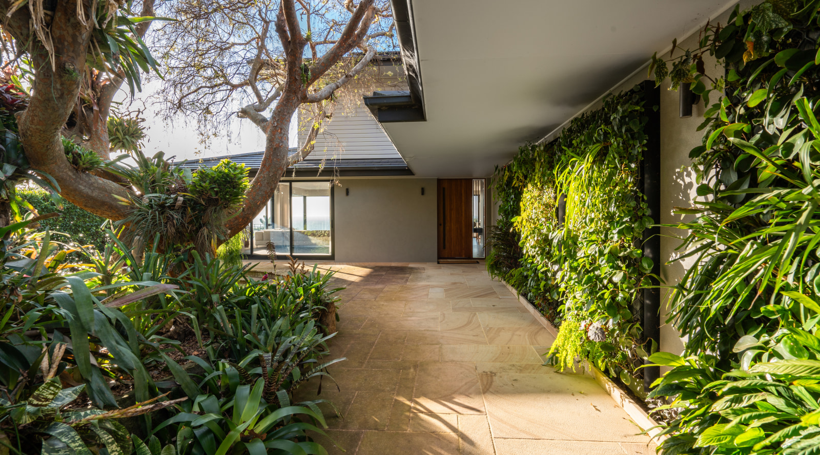 6 Reasons Why Green Walls Are Trending in Homes | Trends