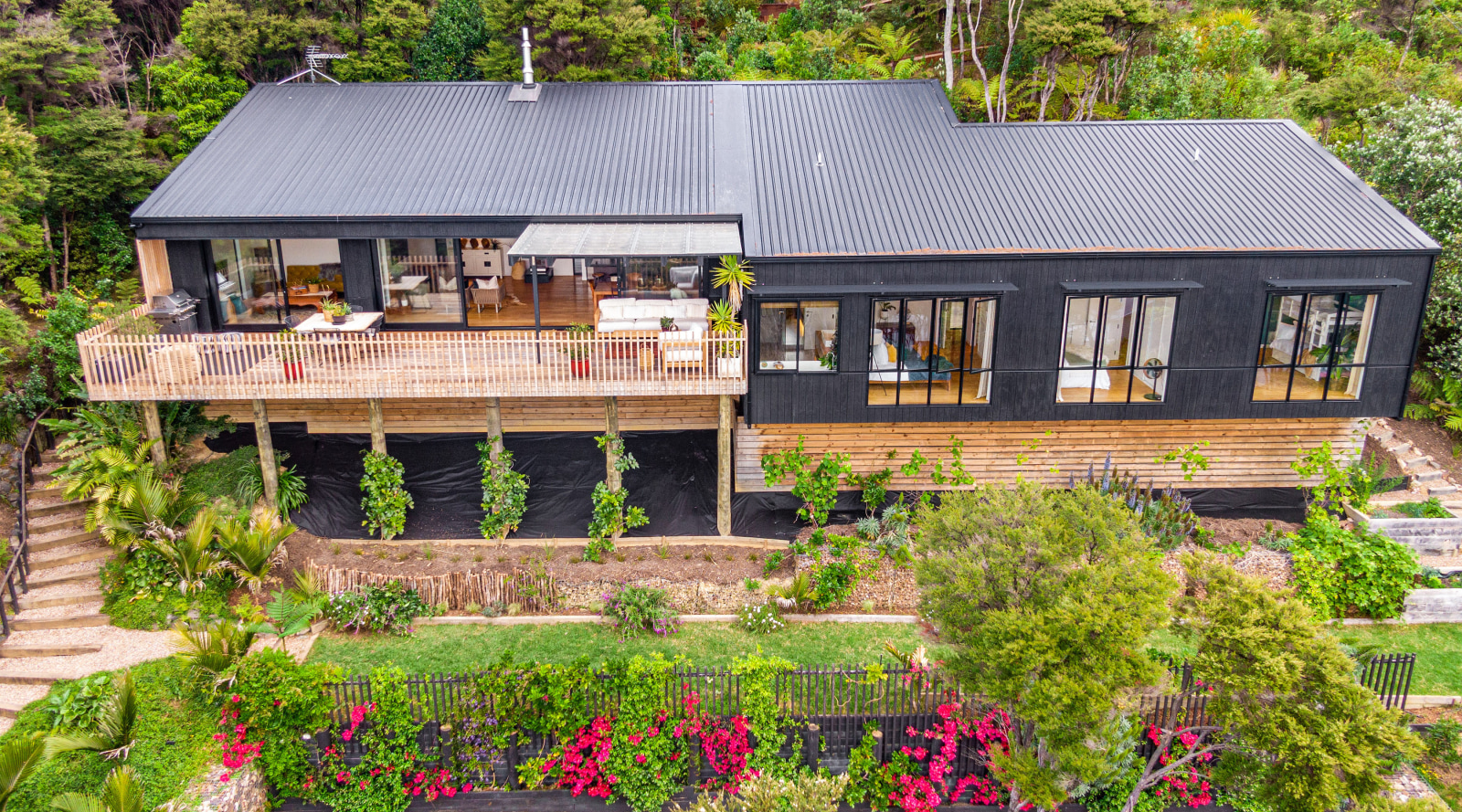 Landscape Design 101 Trends