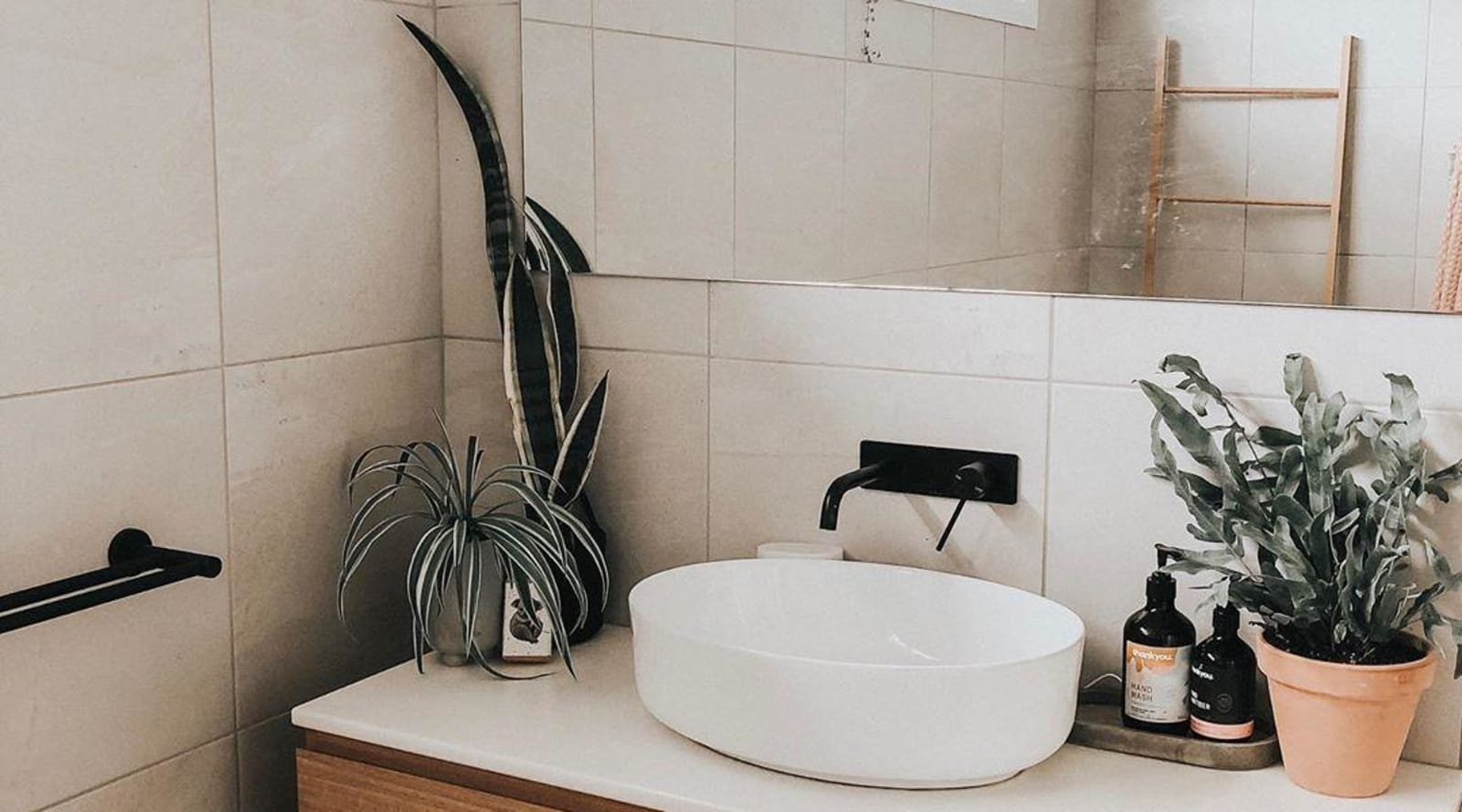10 humidity-loving houseplants for your bathroom | Trends