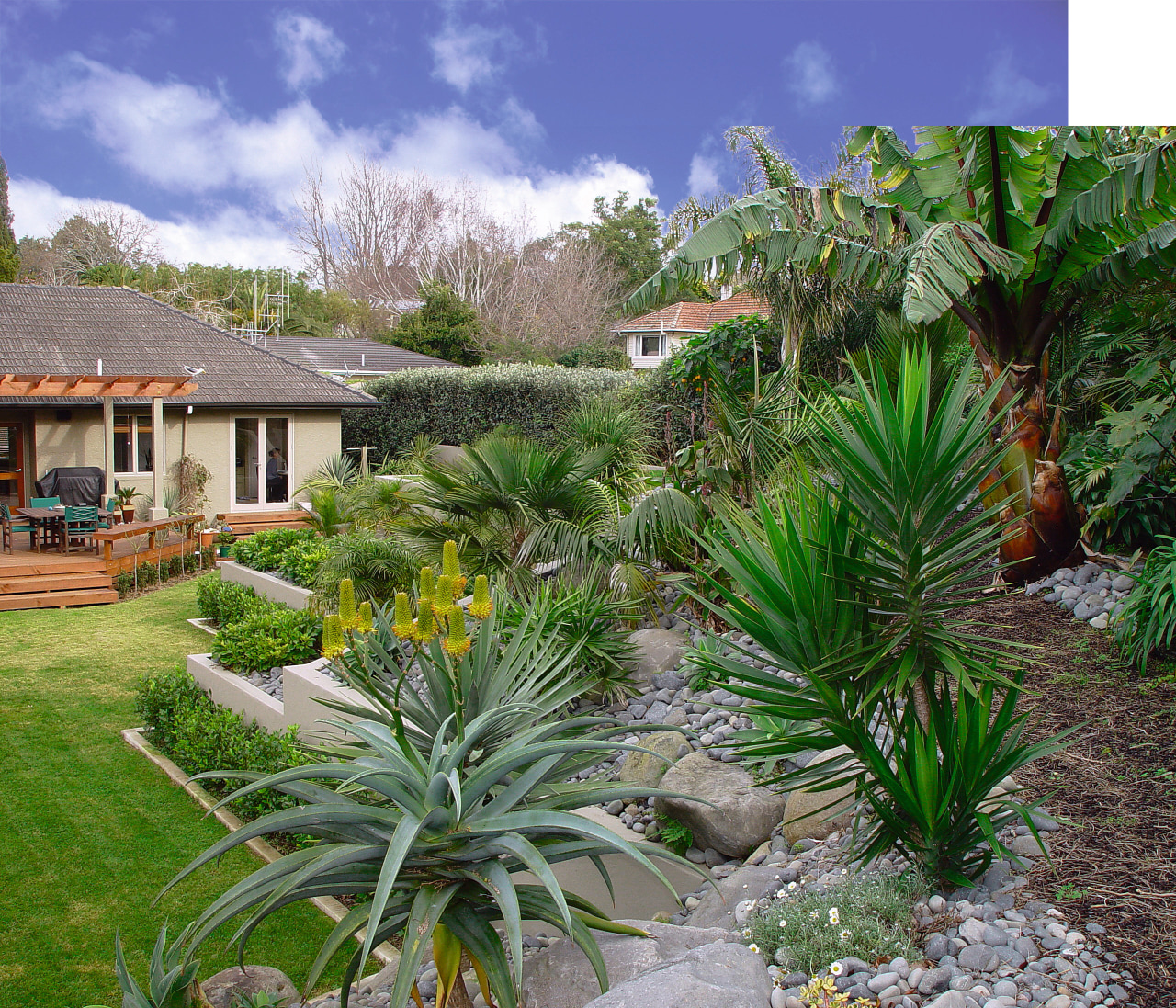 Raised hill-side garden featuring palms and cycads, stones agave, arecales, estate, garden, home, house, landscape, landscaping, palm tree, plant, property, real estate, resort, tree, vegetation, villa, yard, green