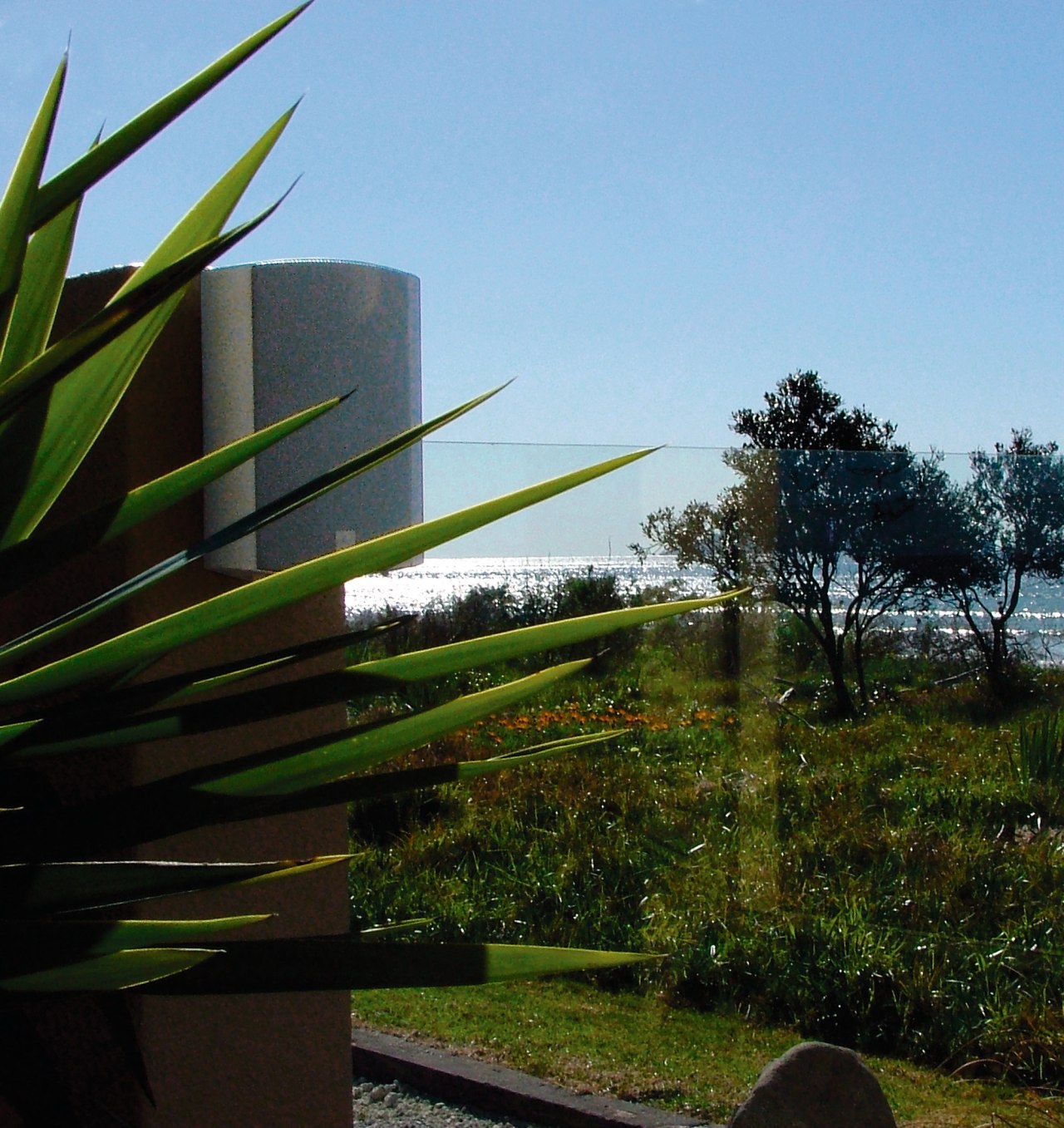 View looking fron interior to exterior view of architecture, grass, green, house, leaf, plant, reflection, sky, sunlight, tree, black, teal