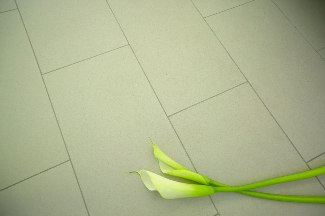 Close up of cream stone floor tiles, with floor, flooring, flower, green, leaf, line, plant, product design, tile, yellow, green