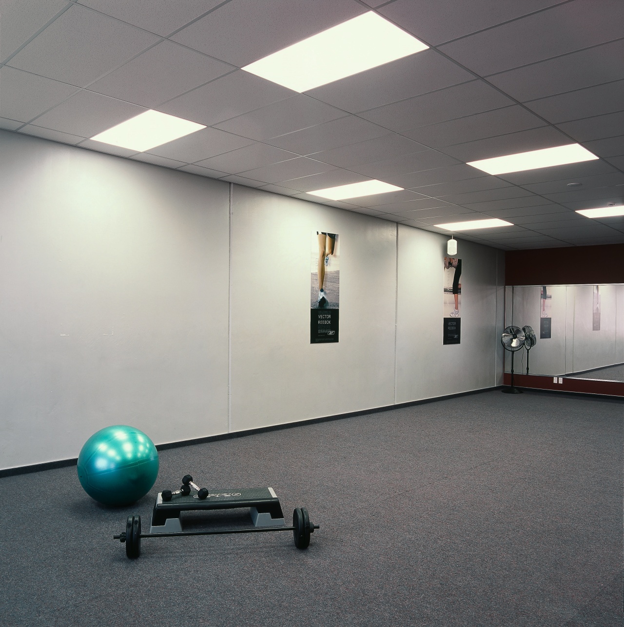 Gym area with white walls, swiss ball and ceiling, floor, flooring, gym, interior design, leisure centre, lighting, physical fitness, room, sport venue, structure, gray