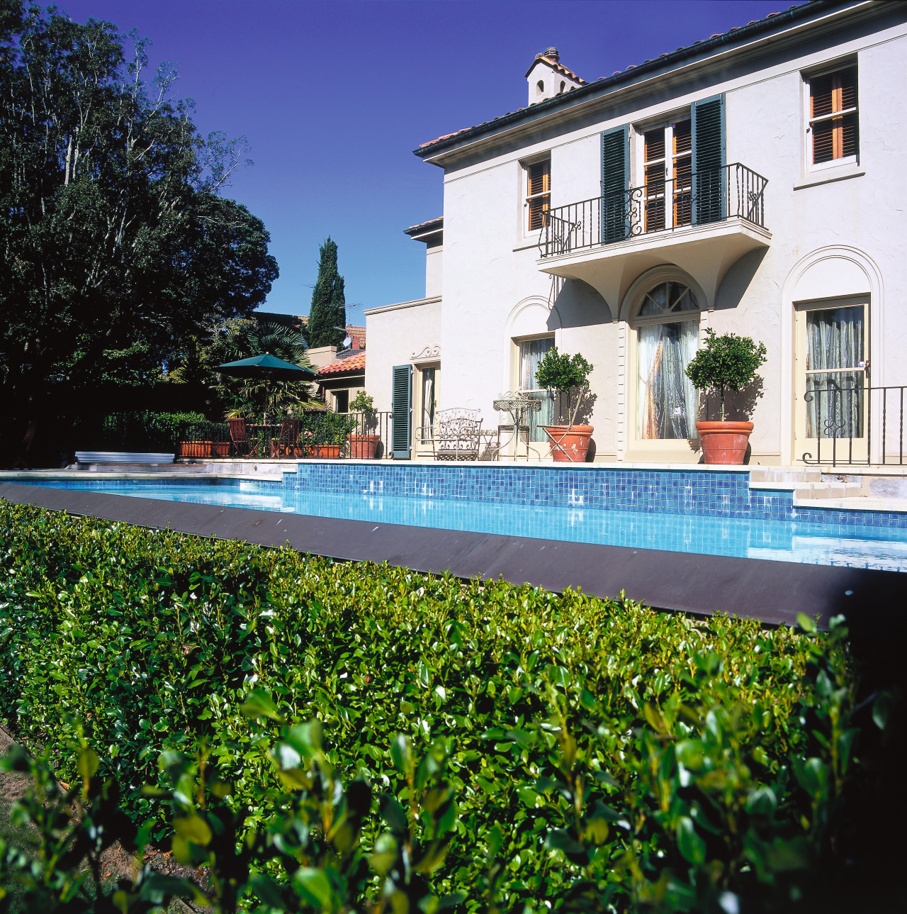 view of the pool area boardered by griselinia estate, hacienda, home, house, leisure, mansion, plant, property, real estate, resort, swimming pool, villa