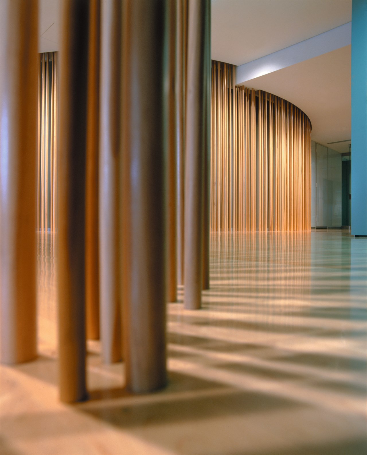 A close up view of the curved wooden architecture, column, daylighting, floor, flooring, interior design, light, lighting, line, lobby, structure, sunlight, wall, wood, brown