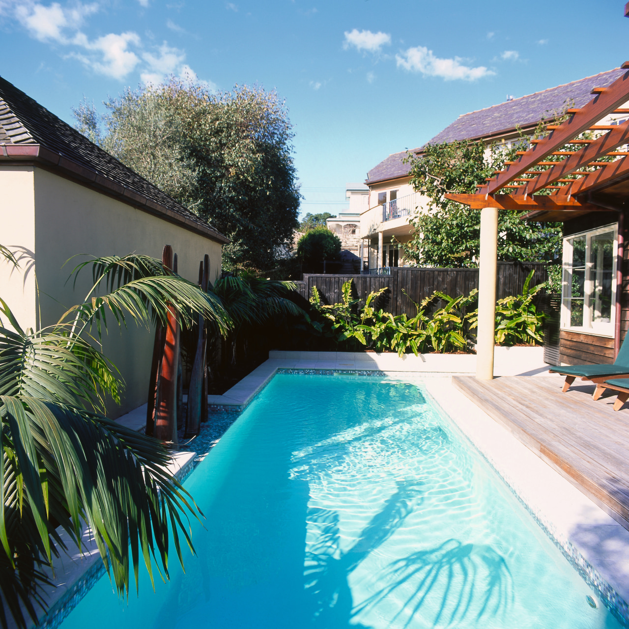 view of this pool designed by mayfair pools arecales, backyard, estate, home, house, leisure, palm tree, property, real estate, resort, swimming pool, villa, water, teal