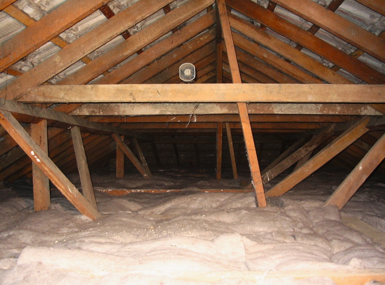 Views of insulation by Eco Insulation to keep attic, beam, floor, lumber, roof, table, wood, wood stain, brown