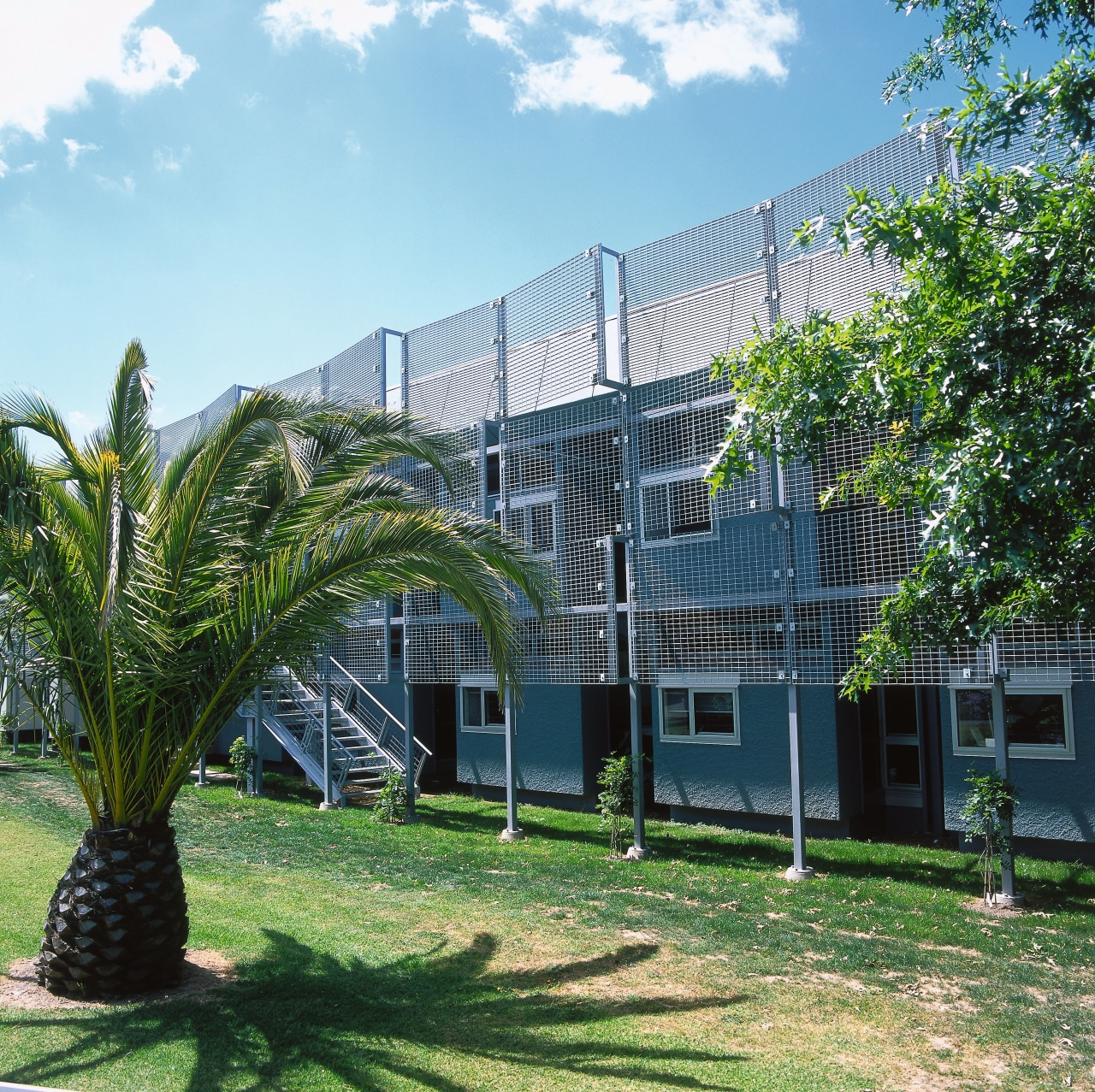 An exterior view of the library, trees. architecture, arecales, building, condominium, estate, home, house, neighbourhood, palm tree, plant, property, real estate, tree, green