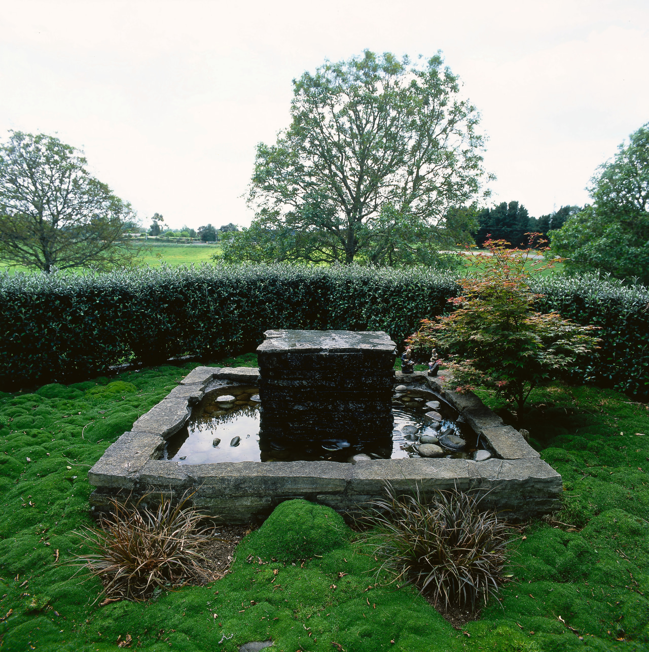 a pool water feature in this garden are garden, grass, landscape, plant, tree, yard, white, green