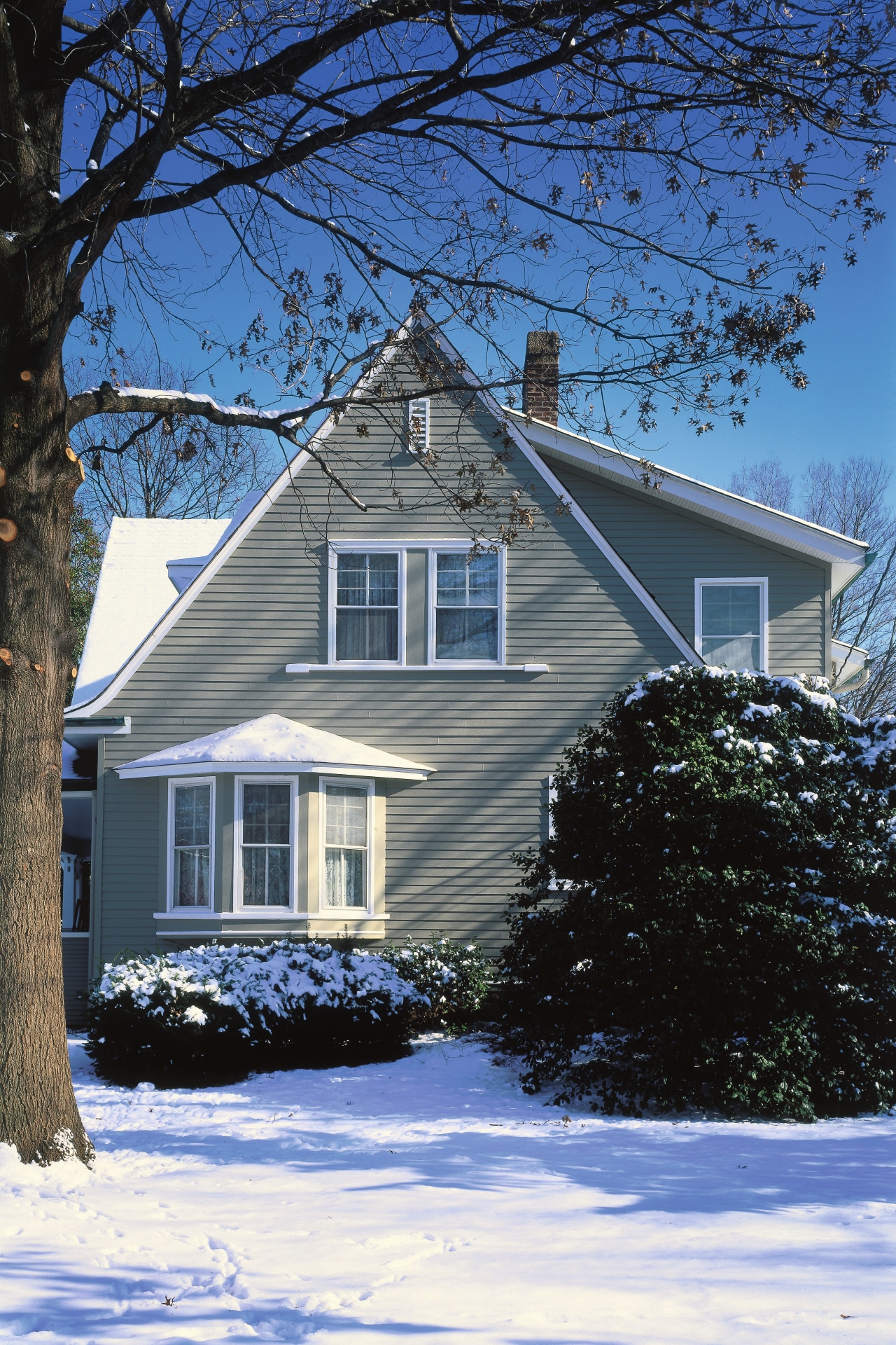 hardiplank siding in the colour monterey taupe was architecture, building, cottage, estate, facade, farmhouse, freezing, home, house, neighbourhood, property, real estate, residential area, roof, siding, sky, snow, suburb, tree, window, winter, black, blue