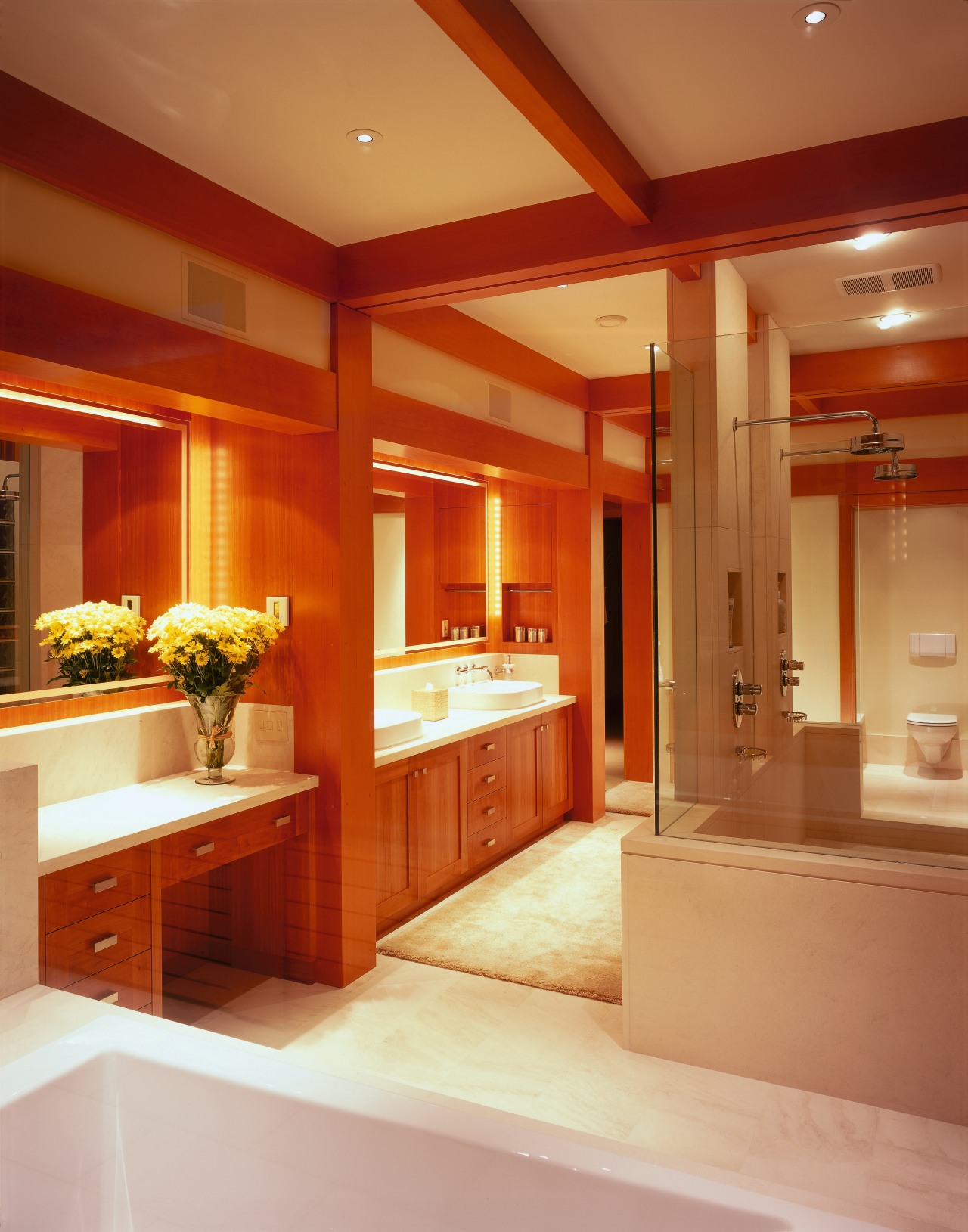 view of this bathroom featuring cherry wood vanity/cabinetry, bathroom, cabinetry, ceiling, countertop, home, interior design, kitchen, lighting, room, red, orange