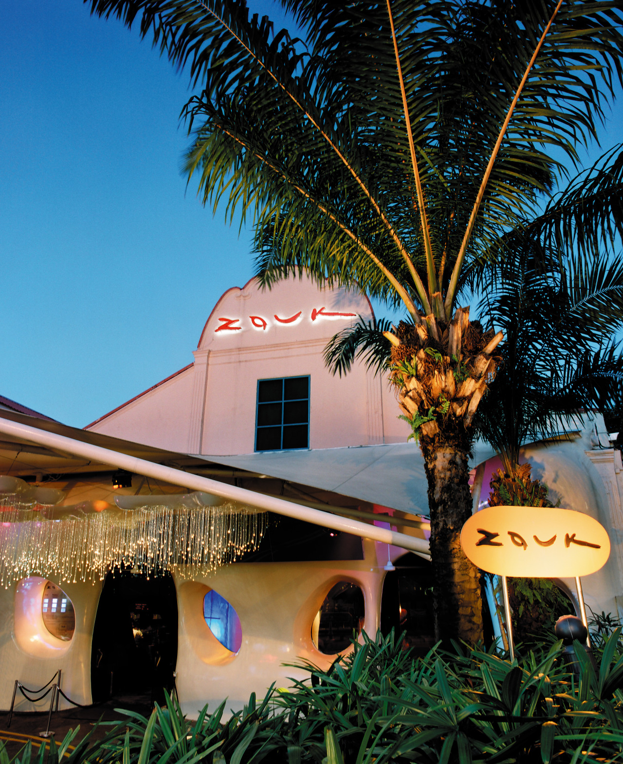 view of the exterior of the zouk nightclub arecales, lighting, palm tree, plant, sky, tree, black