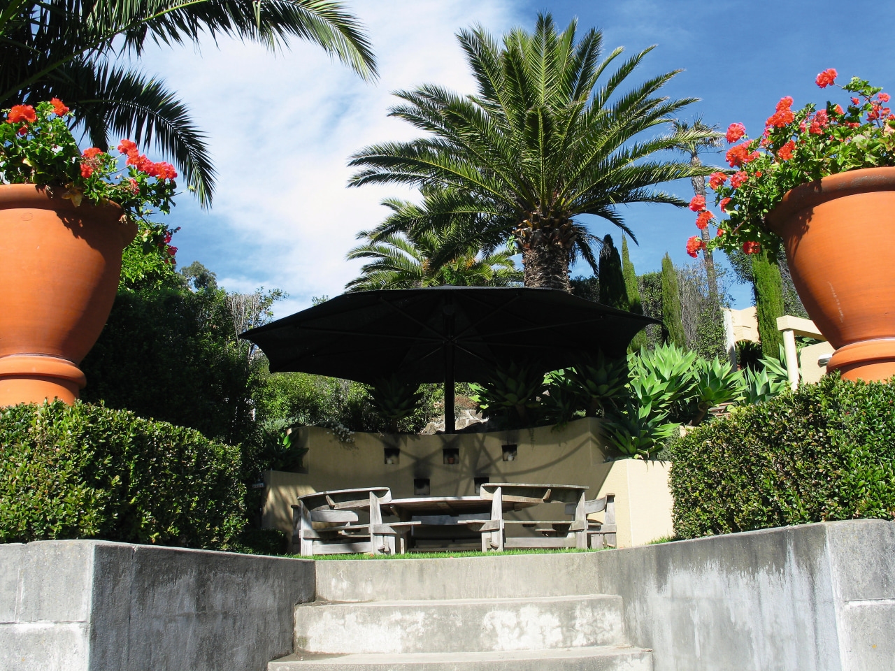 A view of a sail umbrella by Weather arecales, outdoor structure, palm tree, plant, real estate, tree, white