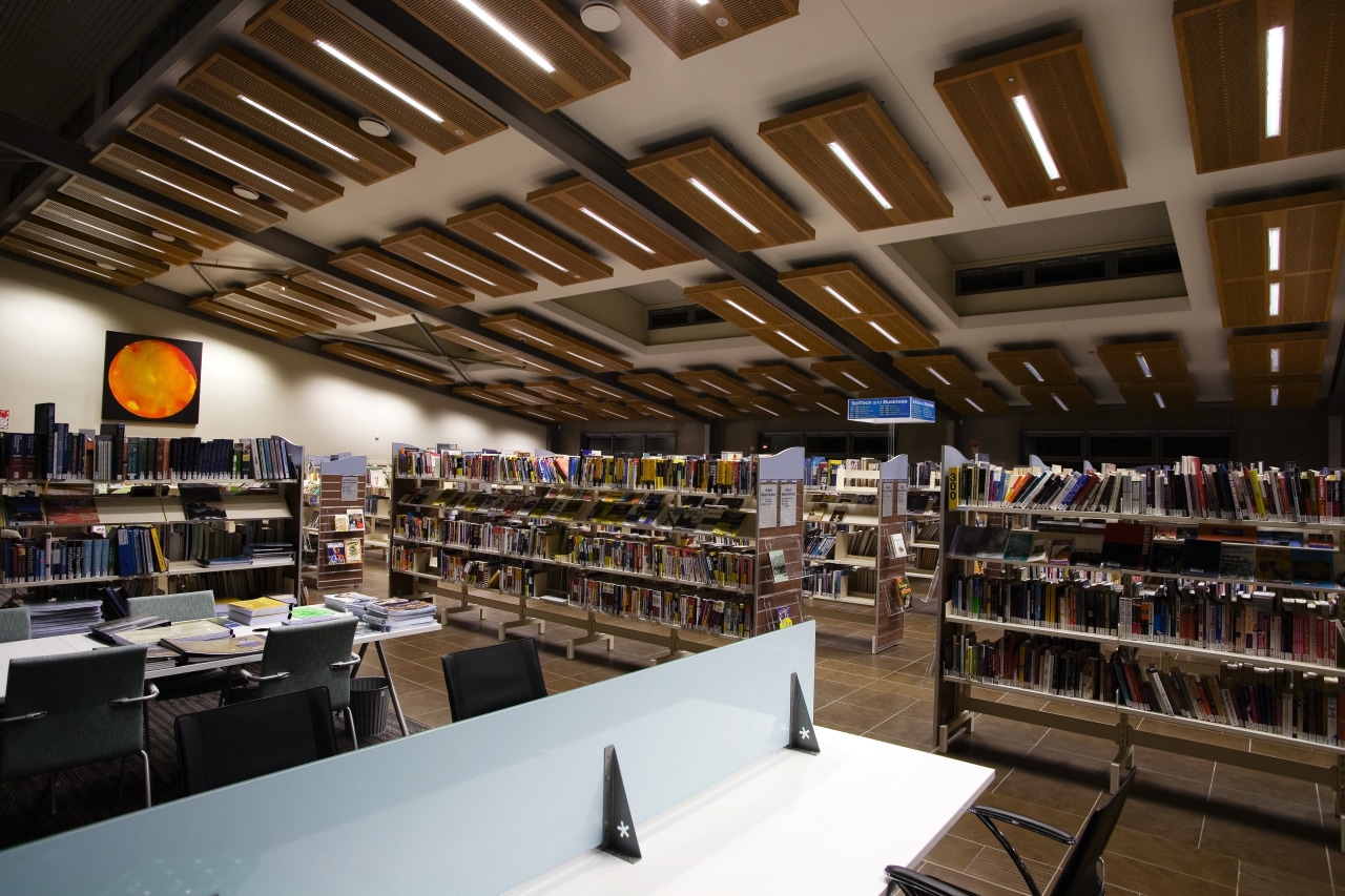 A view of some lighting in the Papamoa institution, library, library science, organization, public library, black, brown