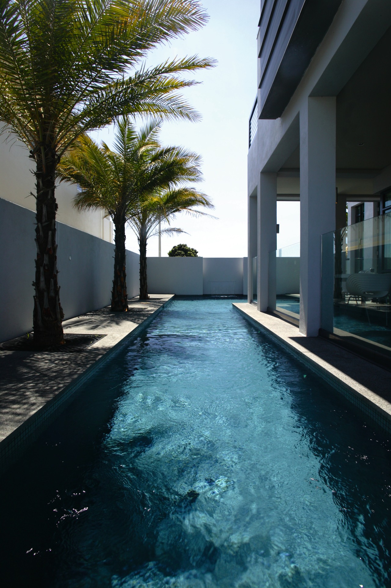 View of an L-shaped lap pool by Pool architecture, arecales, condominium, estate, home, house, palm tree, property, real estate, reflection, resort, sky, swimming pool, water, black