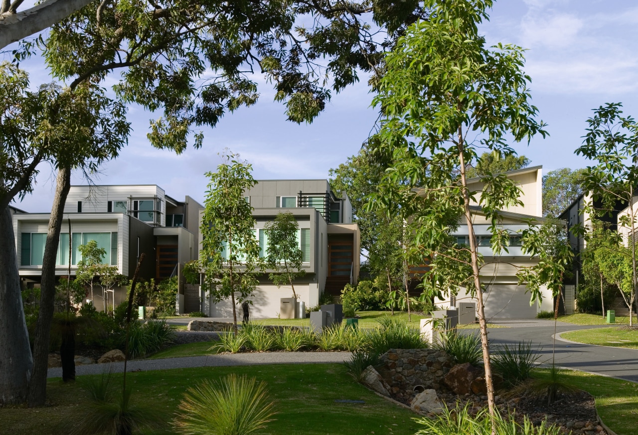 A view of the Visage Development, developed by architecture, condominium, cottage, estate, home, house, mixed use, neighbourhood, plant, property, real estate, residential area, tree, brown