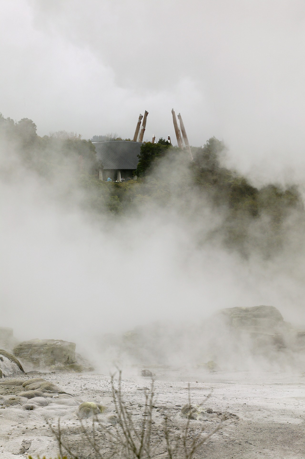 A view of some work done at the cloud, fog, mist, sky, tree, gray