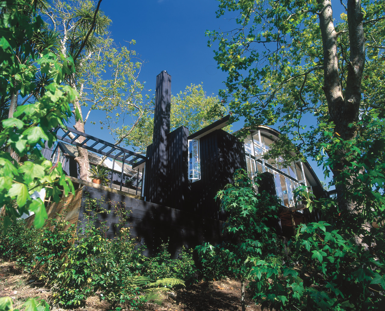 An exterior view of this home designed by grass, nature reserve, plant, tree, vegetation, green, black