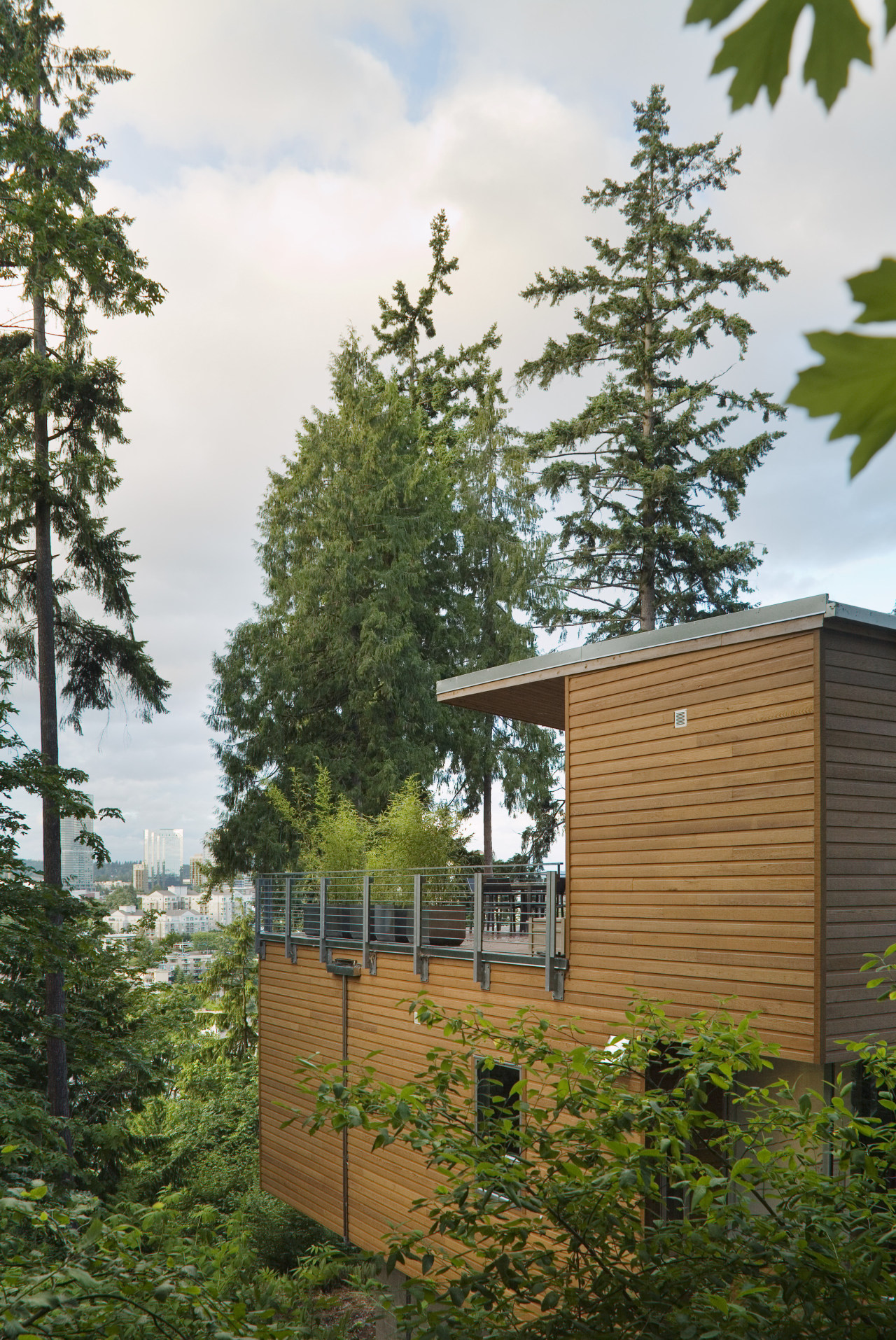 This three-level family home is perched on a architecture, cottage, facade, home, house, leaf, plant, real estate, shed, tree, wood, brown, white