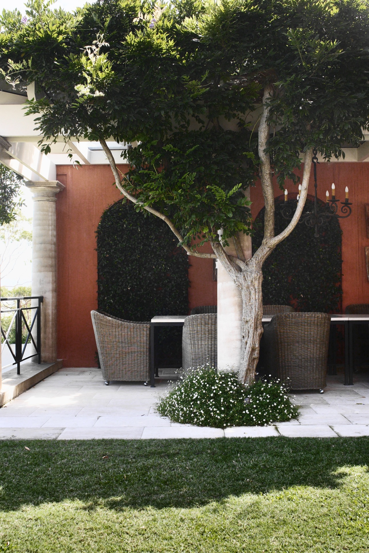 The sandstone paving of this courtyard in sydneys's backyard, courtyard, flowerpot, garden, grass, house, houseplant, outdoor structure, plant, property, shrub, tree, yard, black