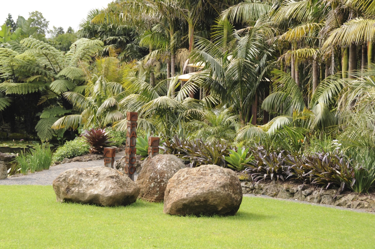 View of a designed and landscaped garden which arecales, botanical garden, flora, garden, grass, grass family, landscape, landscaping, palm tree, plant, tree, vegetation, brown, yellow