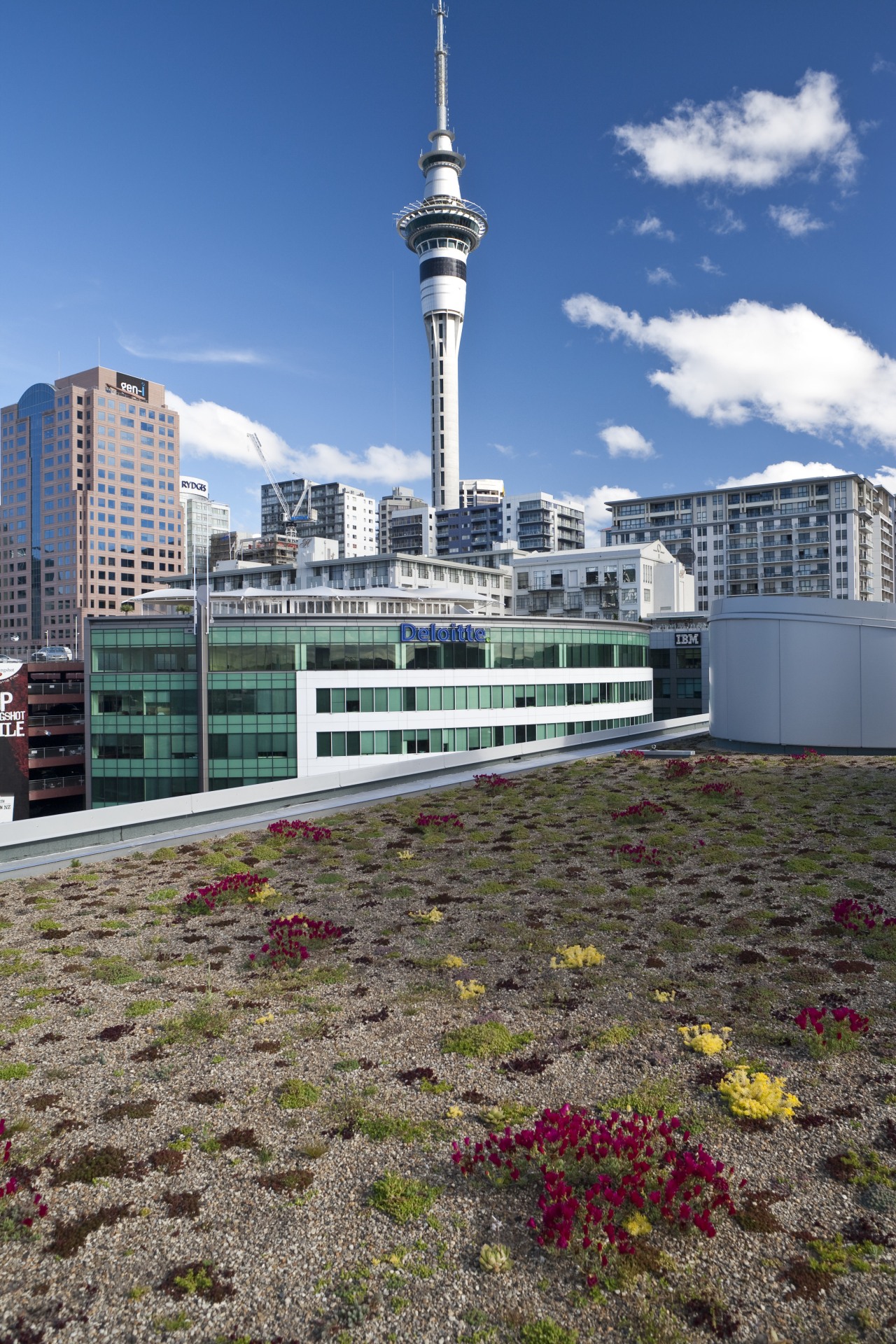 Greenroofs Ltd of Ponsonby developed the green roof architecture, building, city, condominium, daytime, metropolitan area, sky, skyline, tower, urban area