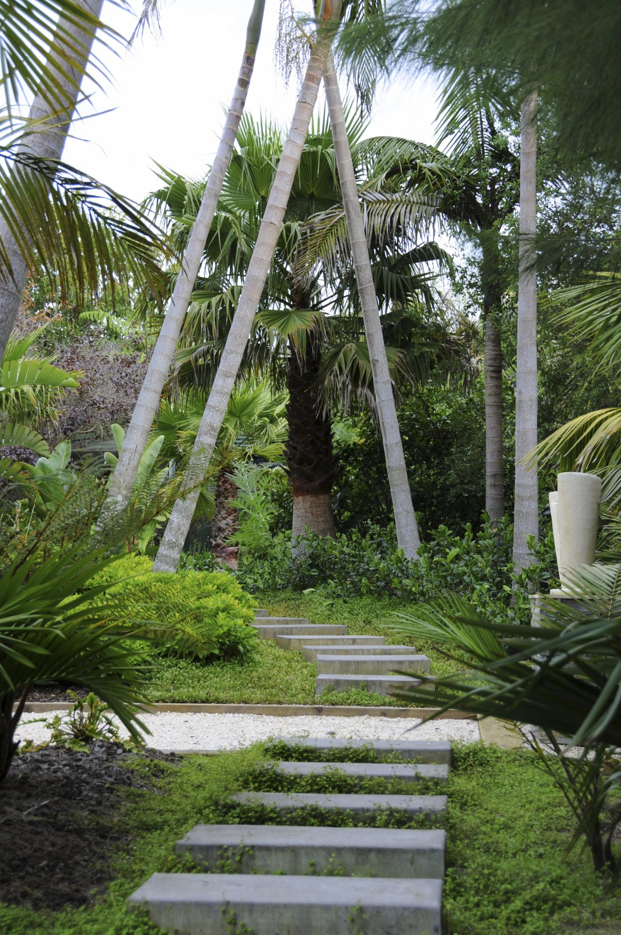 View of outdoor living space filled with mature arecales, backyard, botanical garden, flora, garden, grass, house, landscaping, lawn, outdoor structure, palm tree, plant, plantation, tree, tropics, vegetation, walkway, yard, green