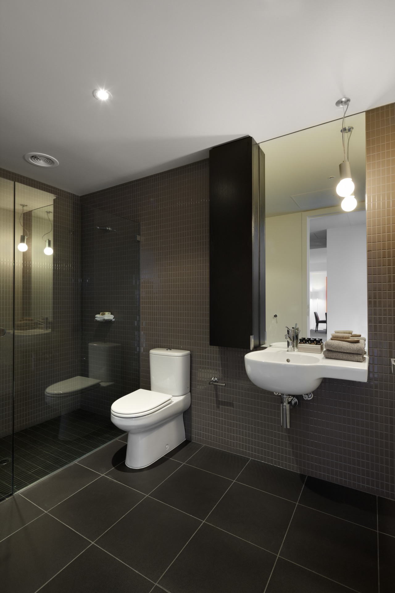 View of this contemporary apartment architecture, bathroom, ceiling, floor, flooring, interior design, plumbing fixture, product design, public toilet, room, sink, tile, toilet, wall, wood flooring, black, gray