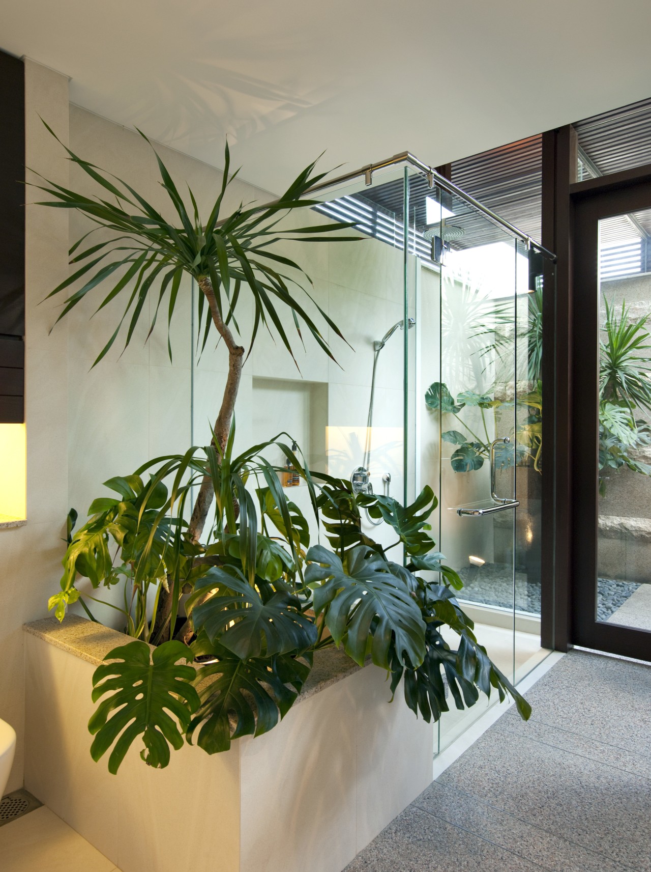 View of a renovated master suite with bathroom, arecales, home, houseplant, interior design, palm tree, plant, window, gray