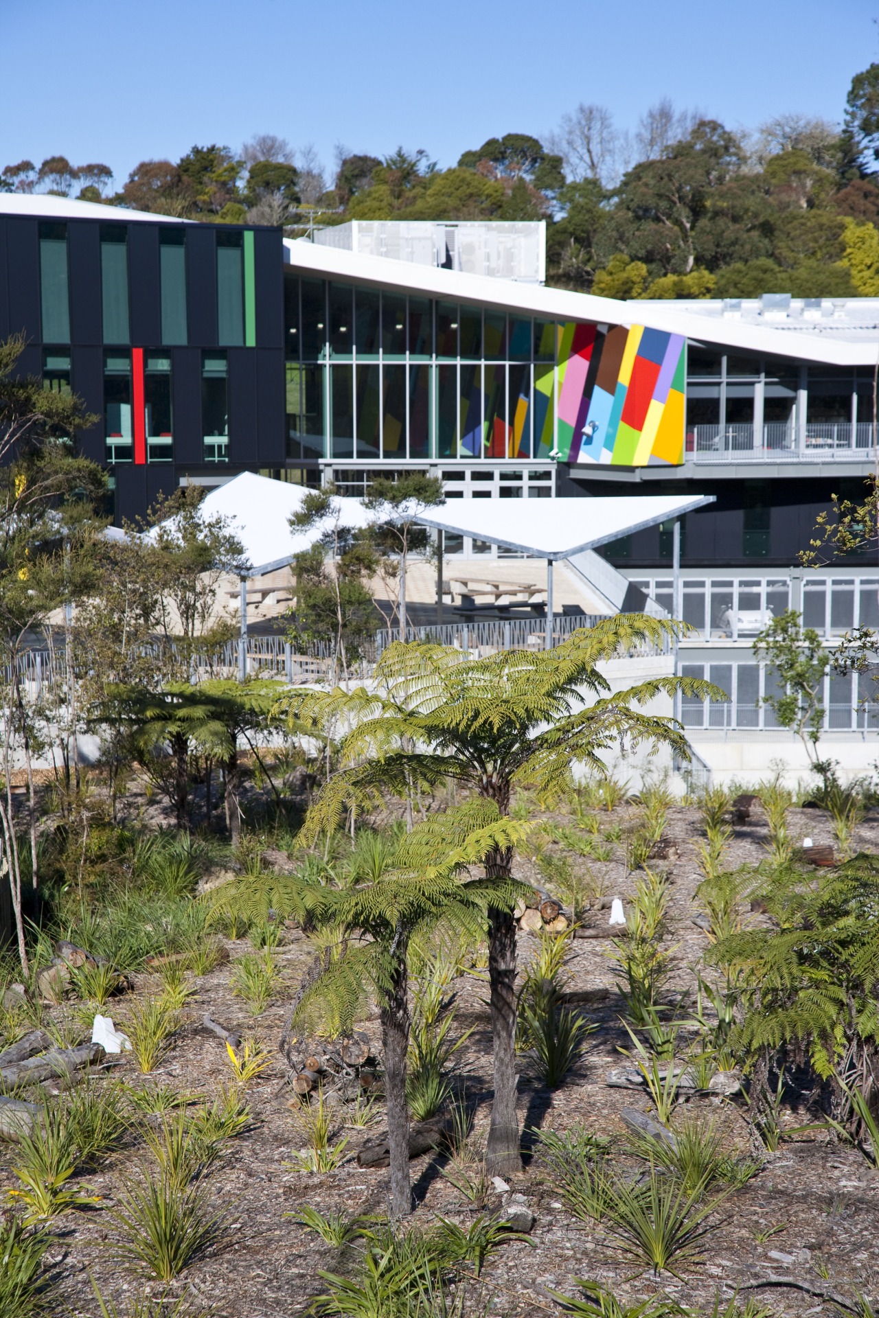 Overview of the garden area architecture, house, plant, tree, brown