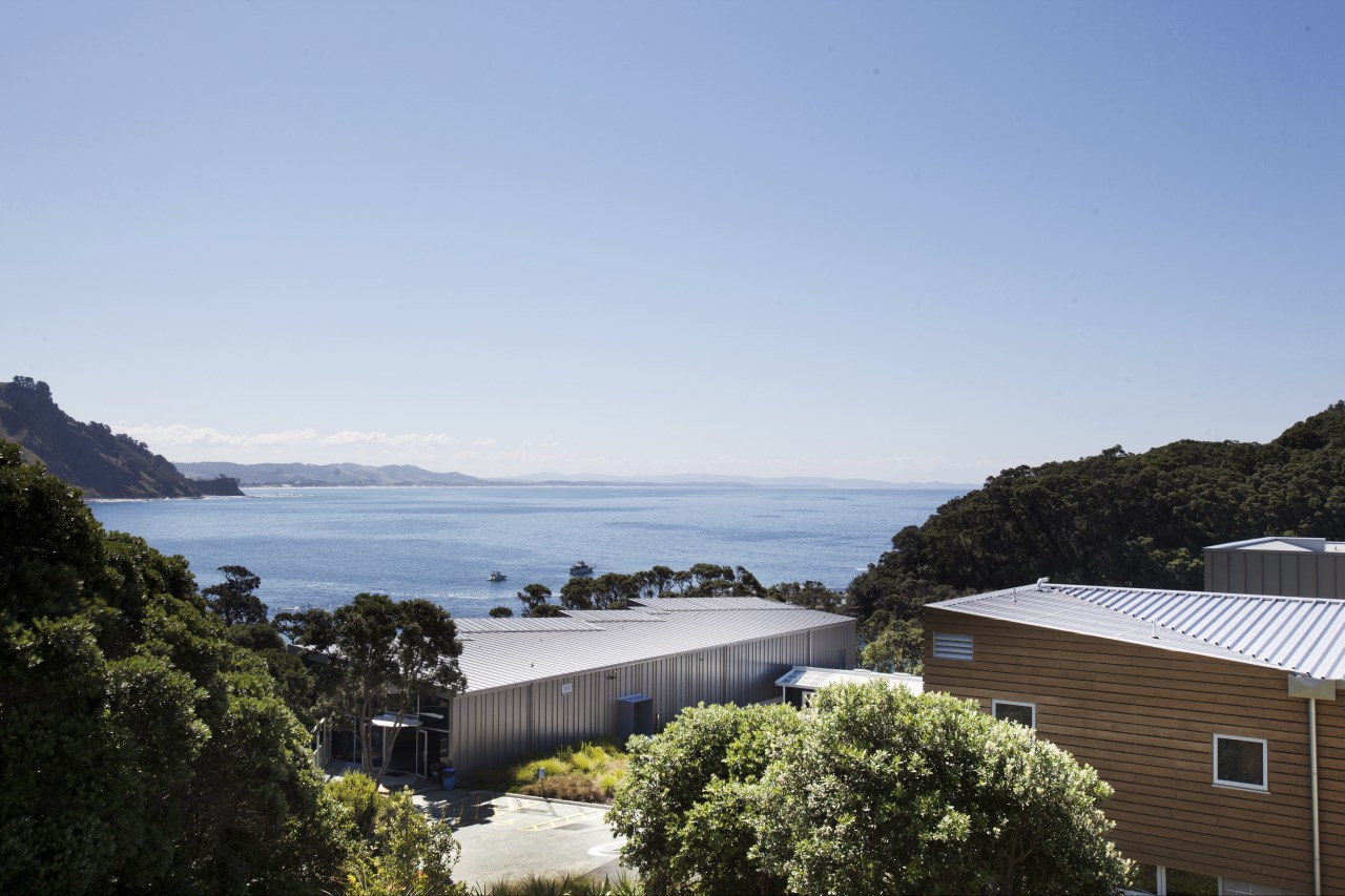 View over buildings to sea. bay, coast, cottage, estate, home, house, property, real estate, residential area, roof, sea, sky, tree, water, teal, black