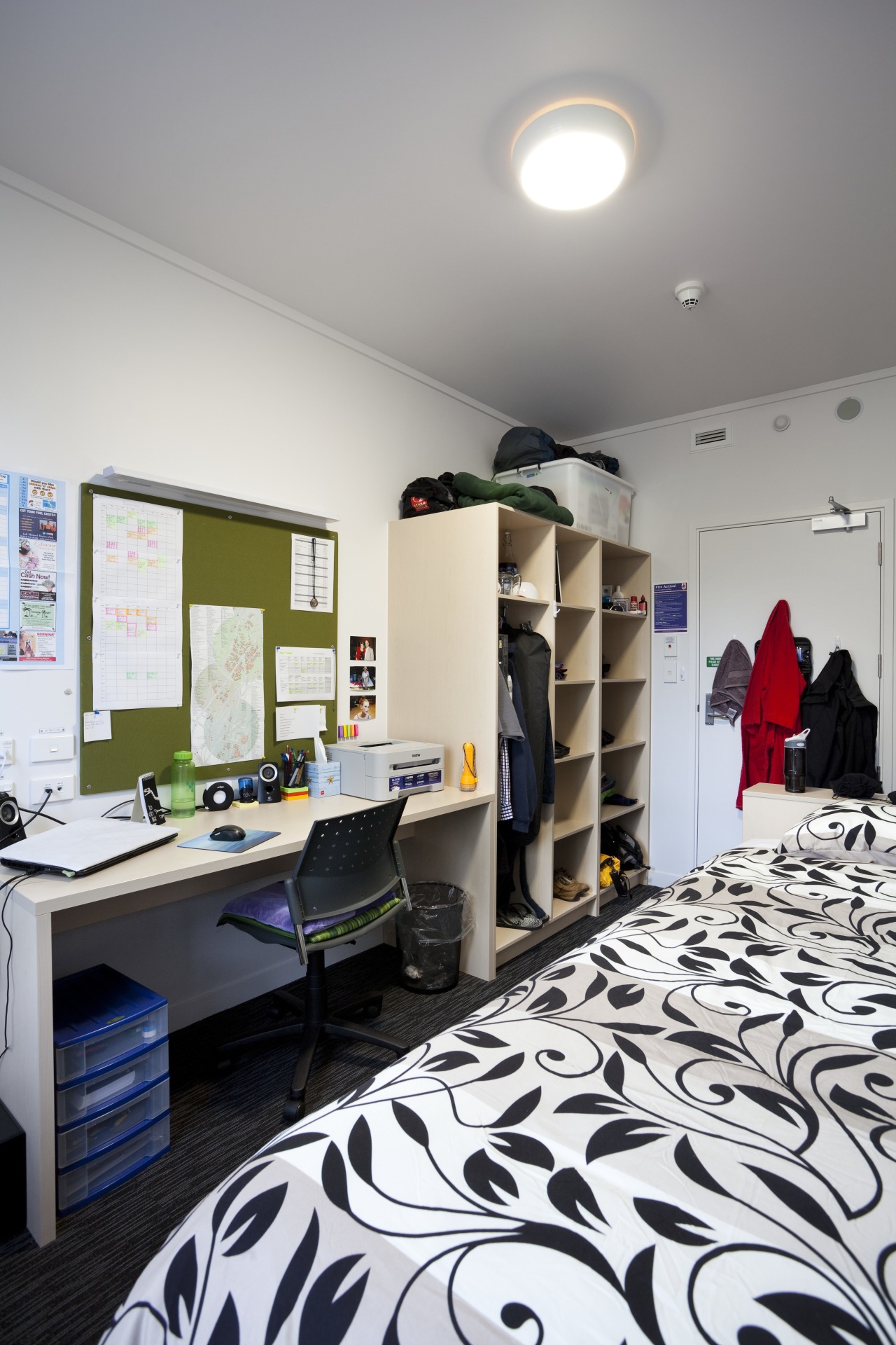 View of room in University of Auckland halls ceiling, furniture, interior design, room, gray
