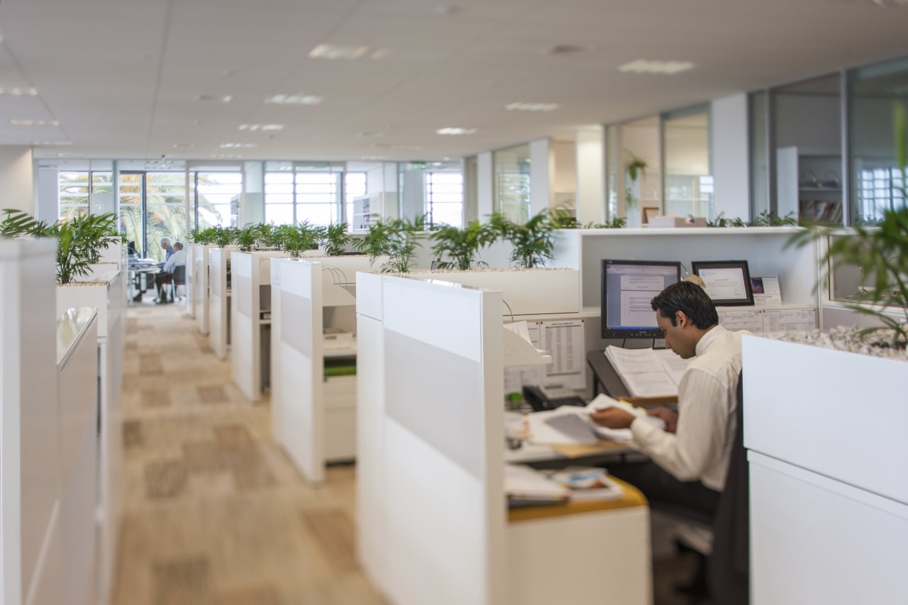 The first office block with a Green Star interior design, office, gray