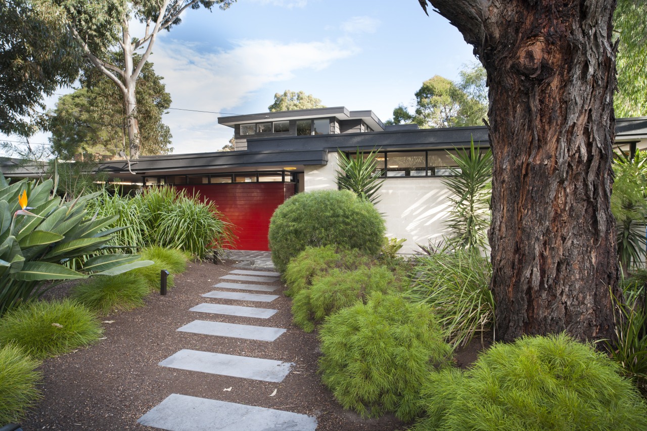 Mid-century Modern home renovation in Melbourne retains original arecales, backyard, estate, garden, grass, home, house, landscape, landscaping, outdoor structure, plant, property, real estate, tree, walkway, yard, brown