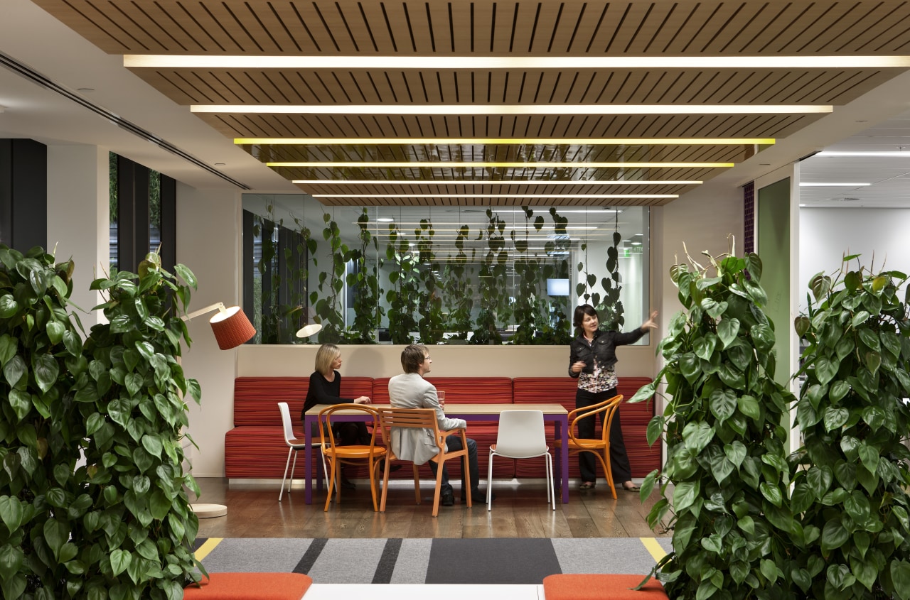 The Southern Cross Health Society premises in Auckland interior design, brown