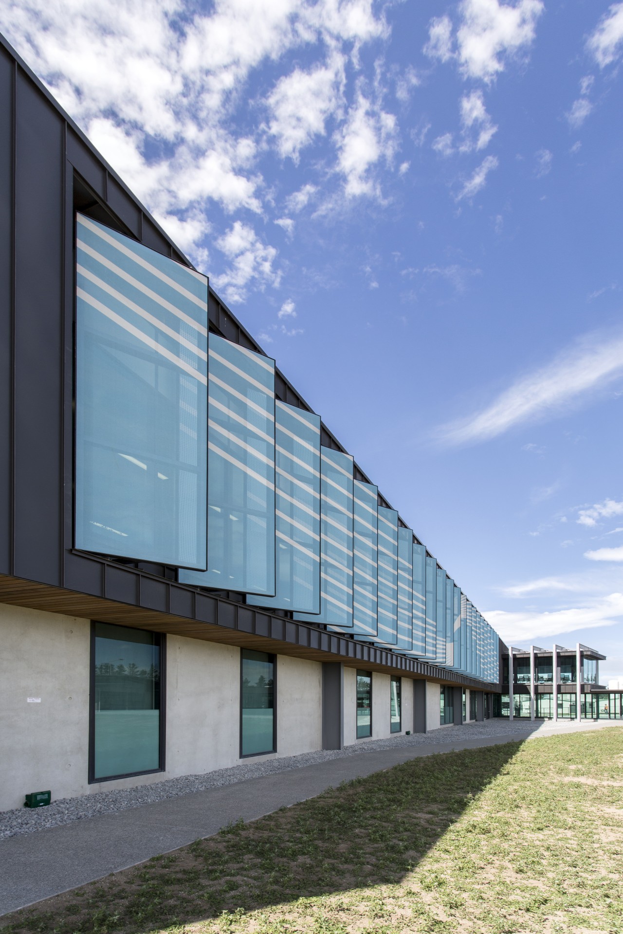 Custom shade screens on Synlaits new administration building architecture, building, commercial building, corporate headquarters, daytime, facade, headquarters, house, sky, teal