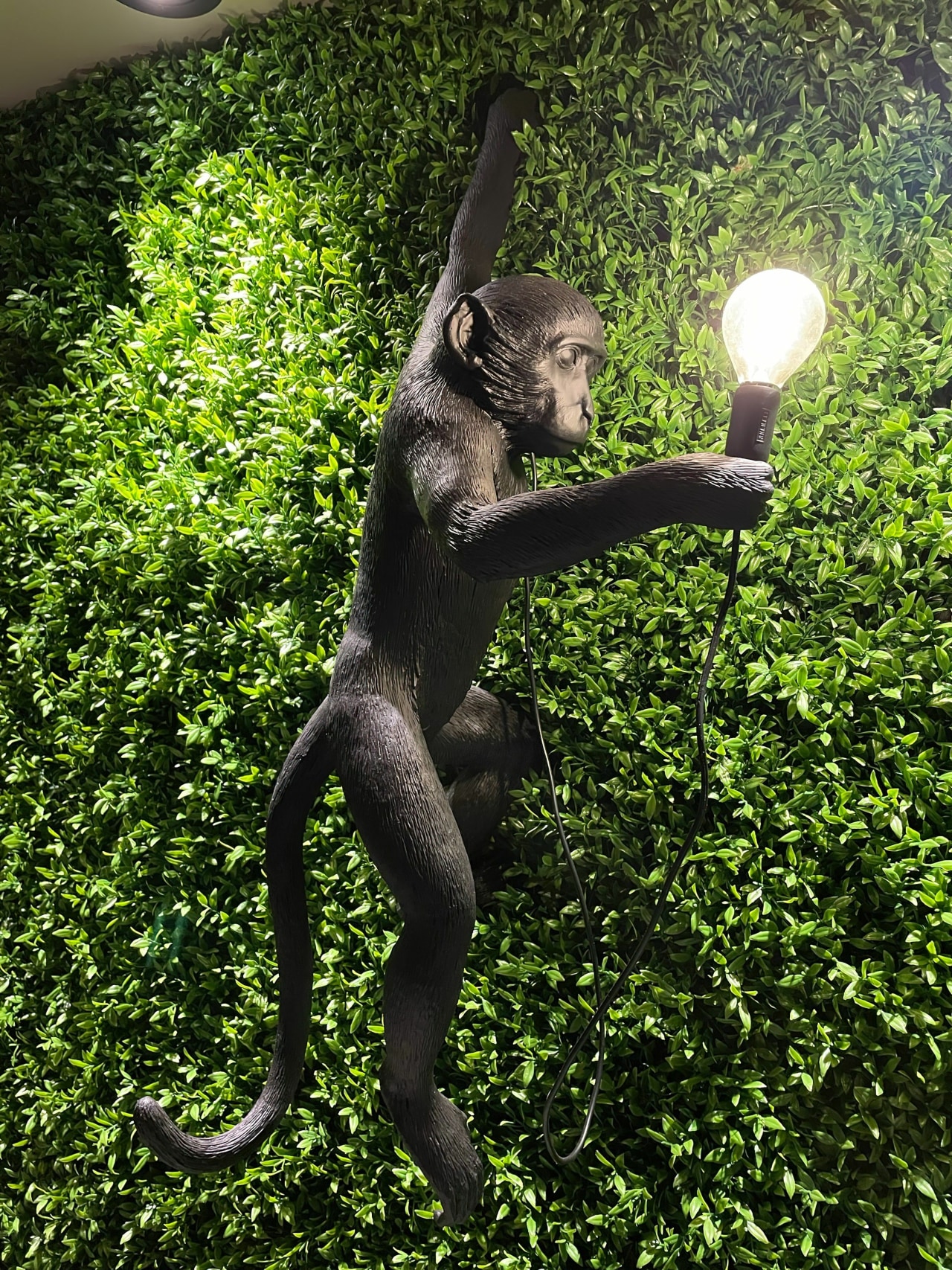 Apt ape lighting. - Lock-and-leave jungle oasis - 