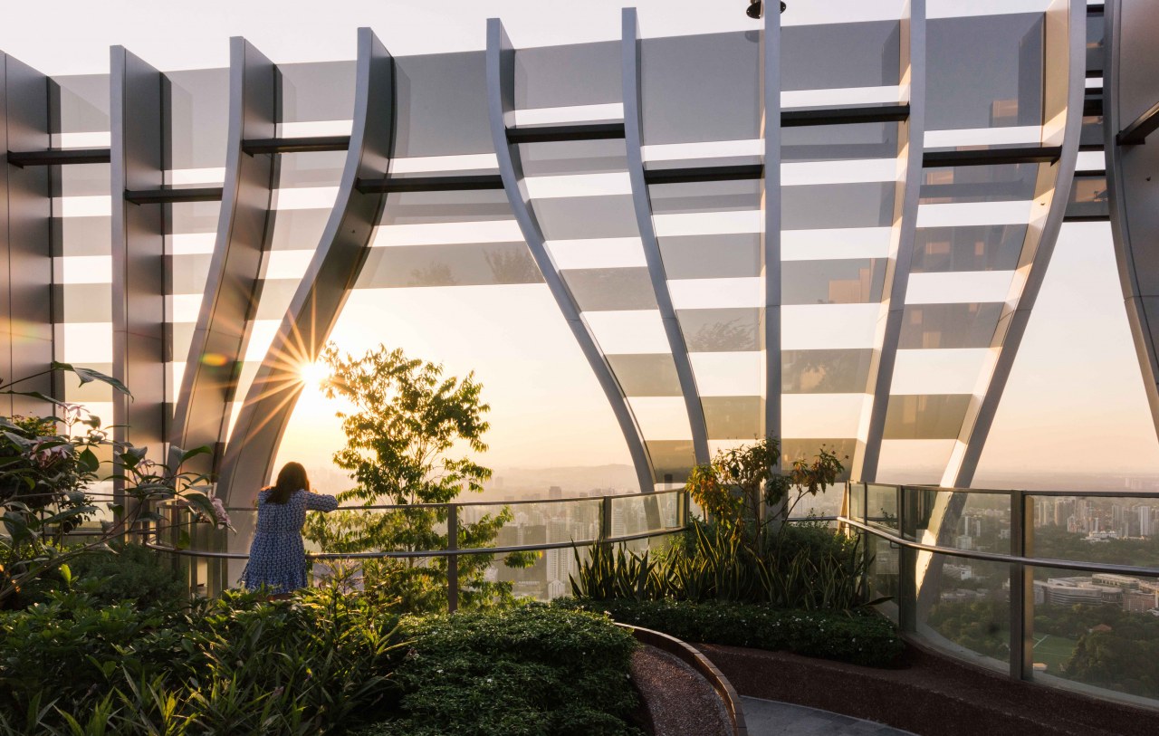 Night falls on the contemporary urban/jungle tower. 