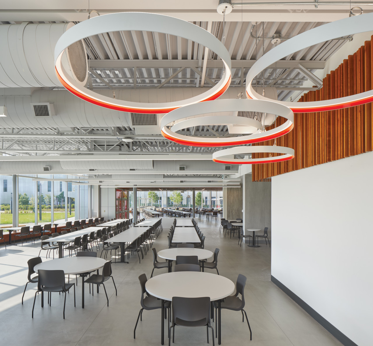 Cycle ceiling suspended lights by Eureka. - Contemporary 