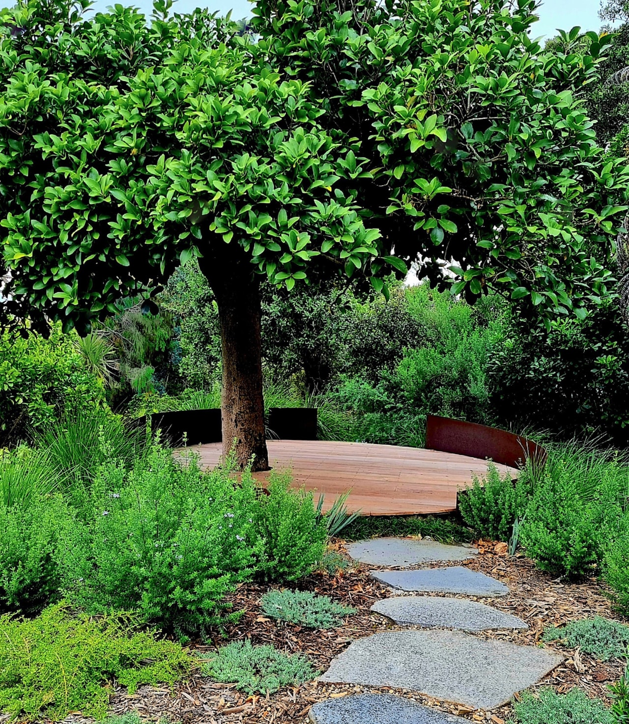 The Karaka and round decking are framed by 