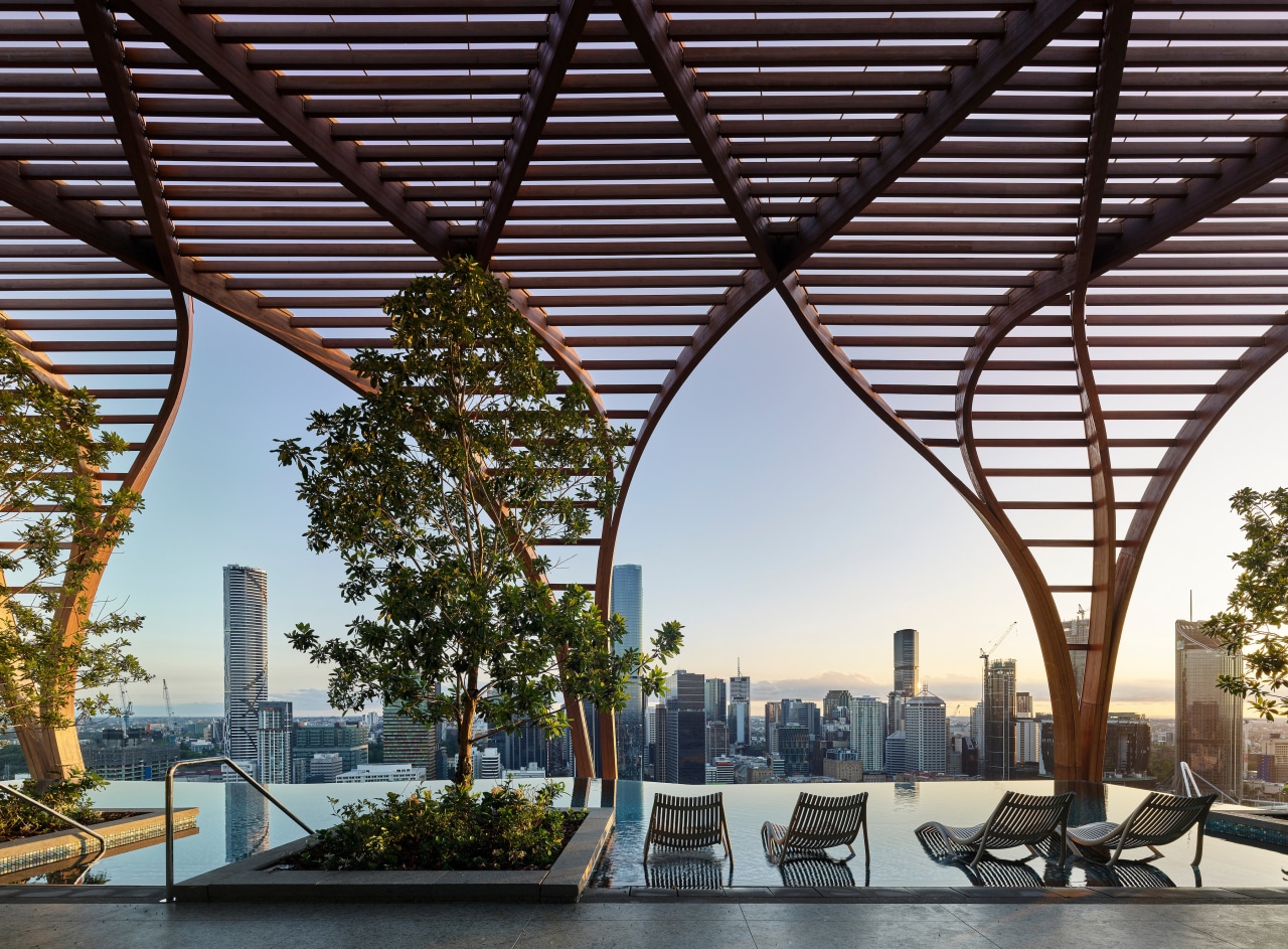 Looking out from under the fig tree roots.Photo 