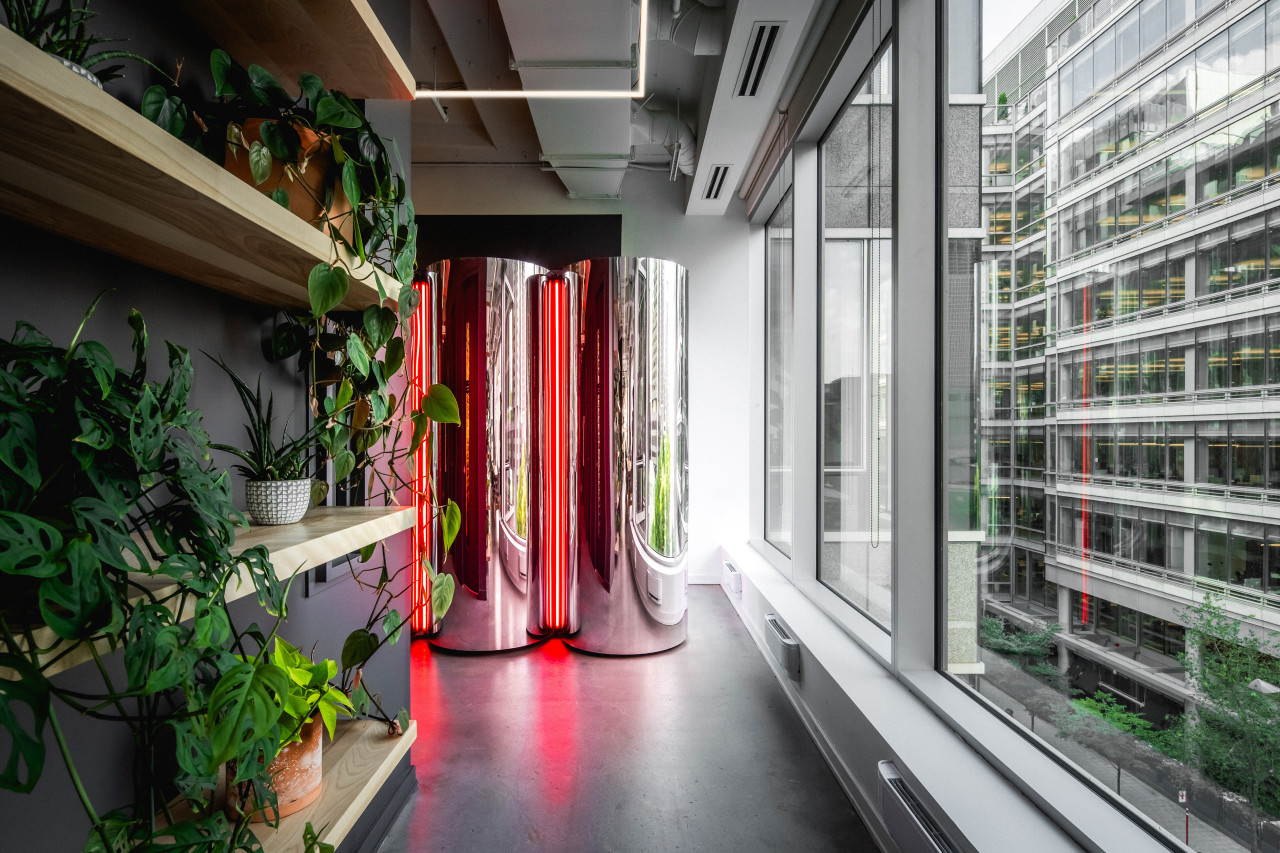 The Mirror Silos internalising and amplifying its urban 