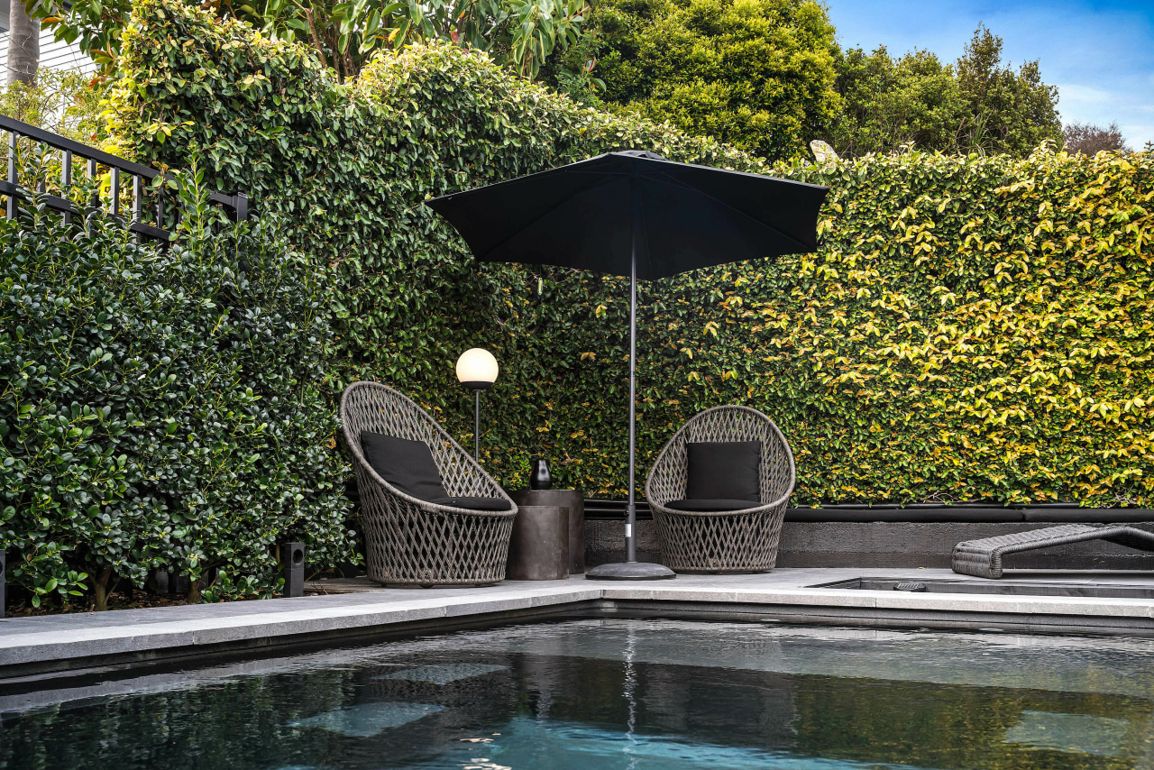 The established ivy hedge along the back wall 