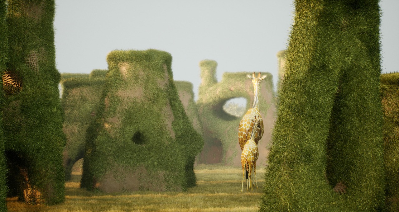 Giraffe Water Towers ZOO Architects 8 -  