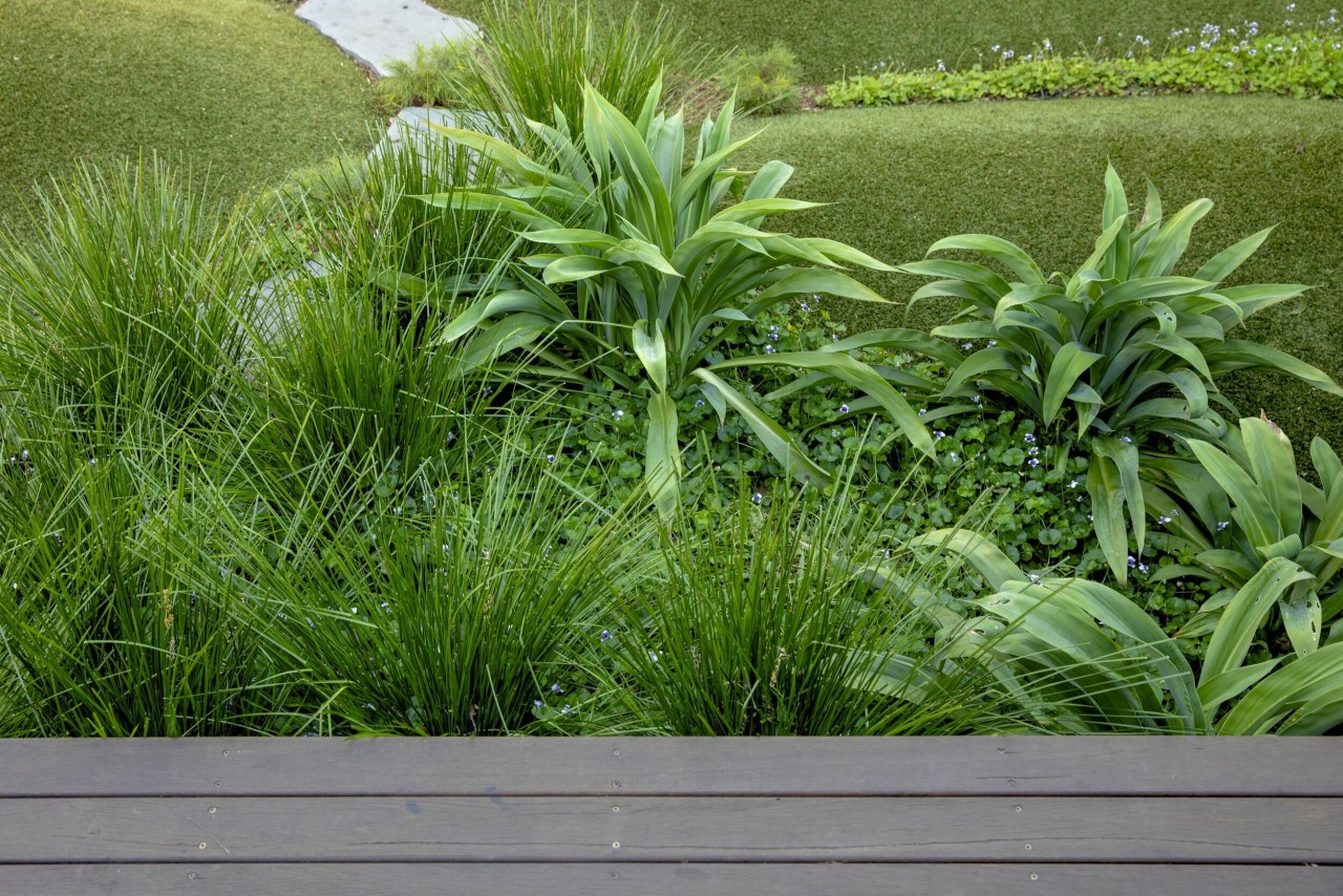 Lush plantings beyond the deck. - Magical outlook 