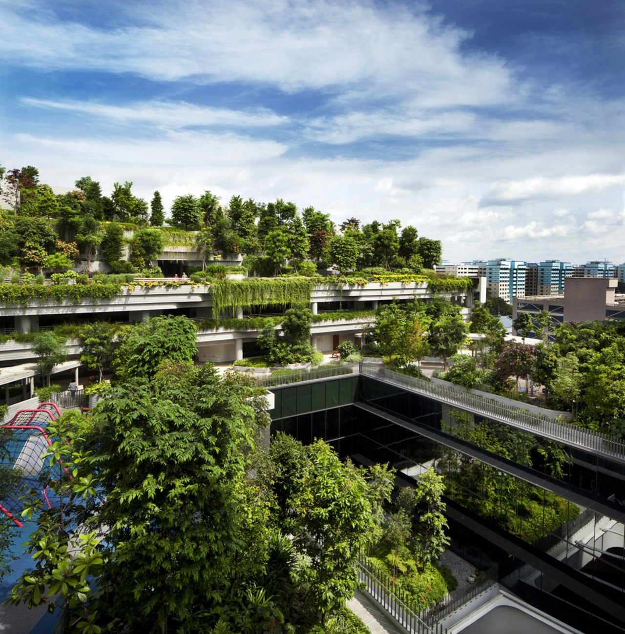 Kampung Admiralty architecture, bird's eye view, city, condominium, daytime, home, house, metropolitan area, mixed use, neighbourhood, plant, real estate, residential area, roof, sky, suburb, tree, urban area, urban design, brown