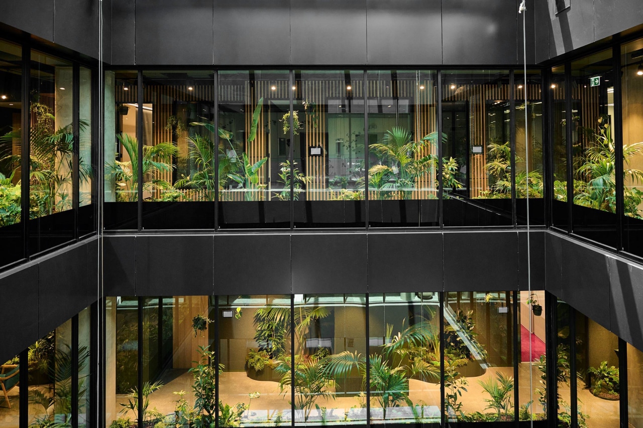 Two storey terrarium as seen looking across the 