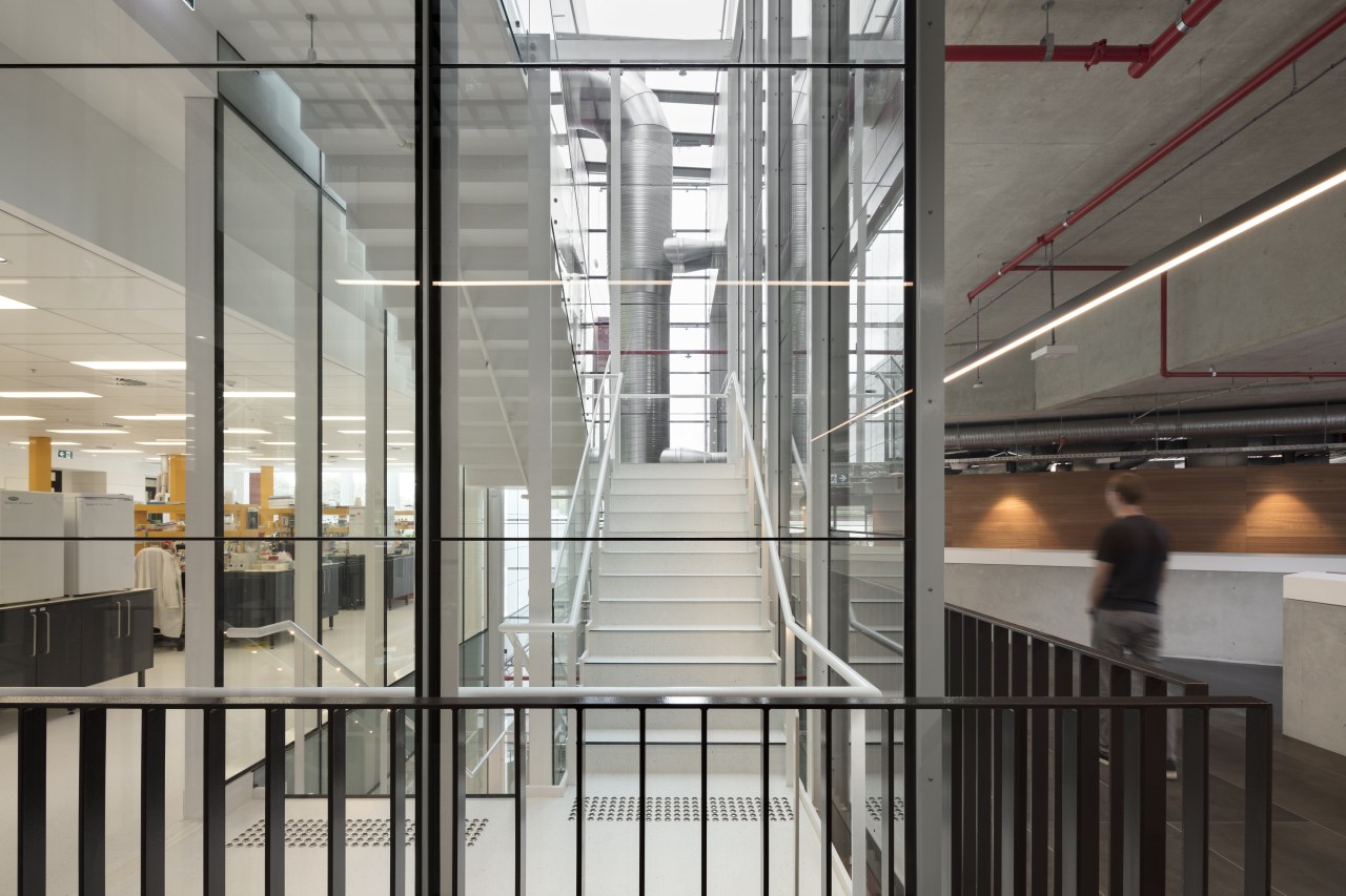 Stairs through the link atrium in the research architecture, building, daylighting, floor, glass, handrail, lobby, stairs, structure, gray