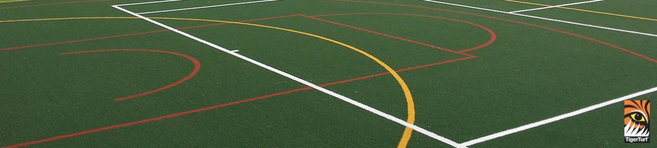 Holding large functions for family and friends is artificial turf, field hockey, field lacrosse, flooring, grass, green, lacrosse, line, parallel, plant, race track, sport venue, sports, stadium, team sport, green