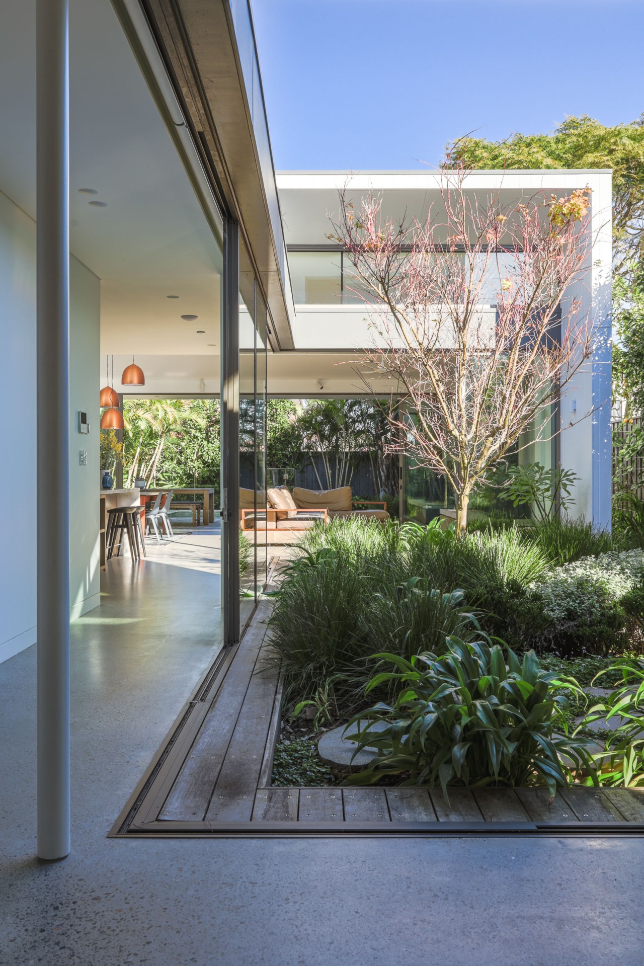 Courtyard garden detail. - Centre of attention - 